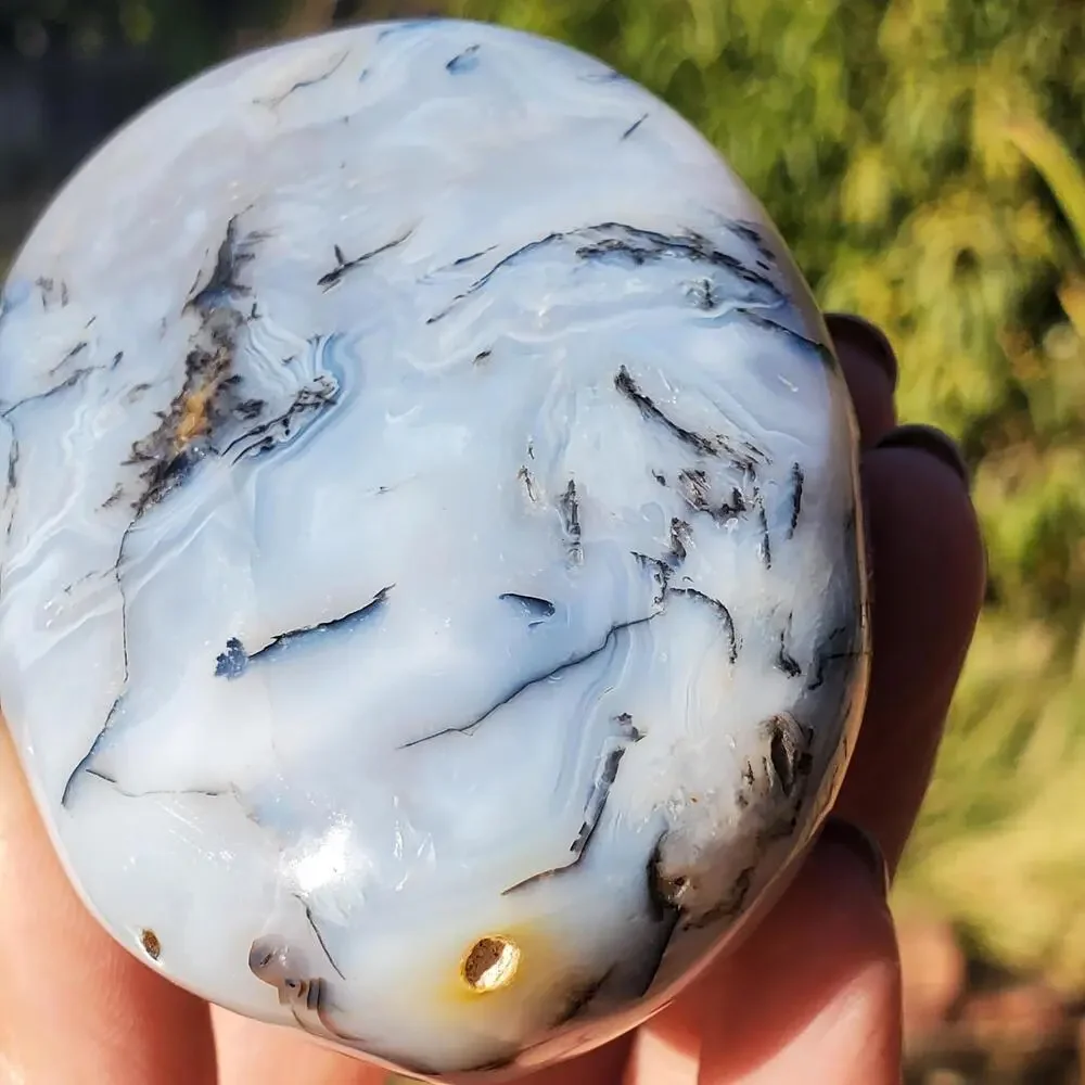 Dendritic Agate Multi-Color Pattern Translucent Freeform Crystal 258 Grams